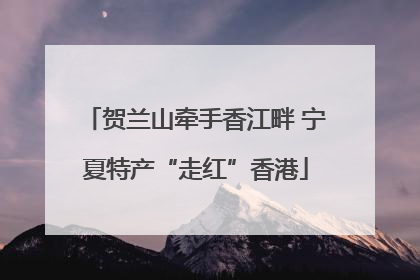 贺兰山牵手香江畔 宁夏特产“走红”香港