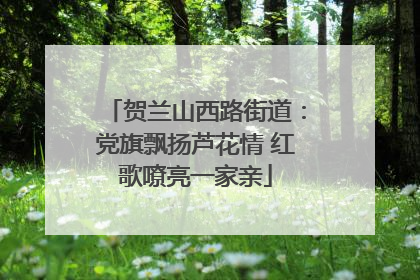 贺兰山西路街道：党旗飘扬芦花情 红歌嘹亮一家亲