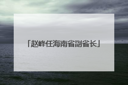 赵峰任海南省副省长