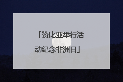 赞比亚举行活动纪念非洲日