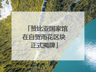 赞比亚国家馆在自贸雨花区块正式揭牌