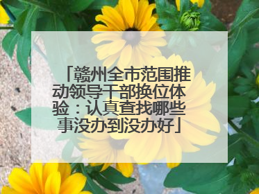 赣州全市范围推动领导干部换位体验：认真查找哪些事没办到没办好