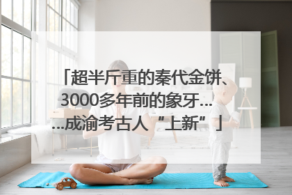 超半斤重的秦代金饼、3000多年前的象牙……成渝考古人“上新”