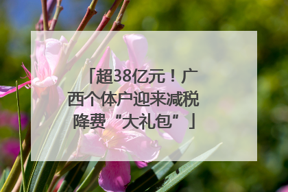 超38亿元！广西个体户迎来减税降费“大礼包”