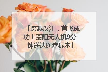跨越汉江，首飞成功！襄阳无人机9分钟送达医疗标本