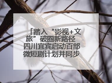 踏入“影视+文旅”破圈新路径 四川宜宾启动百部微短剧计划并同步开启演员招募