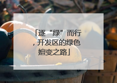 逐“绿”而行，开发区的绿色嬗变之路