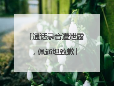 通话录音遭泄露，佩通坦致歉