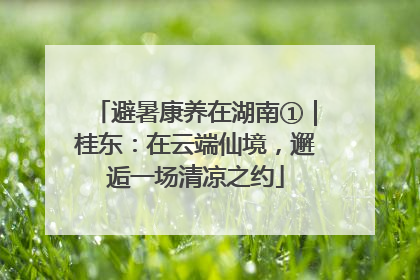 避暑康养在湖南①｜桂东：在云端仙境，邂逅一场清凉之约