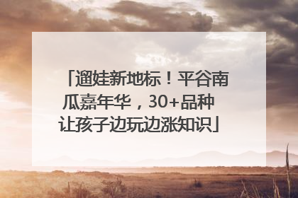 遛娃新地标！平谷南瓜嘉年华，30+品种让孩子边玩边涨知识