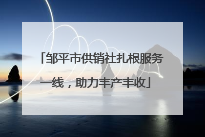 邹平市供销社扎根服务一线，助力丰产丰收