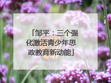 邹平：三个强化激活青少年思政教育新动能