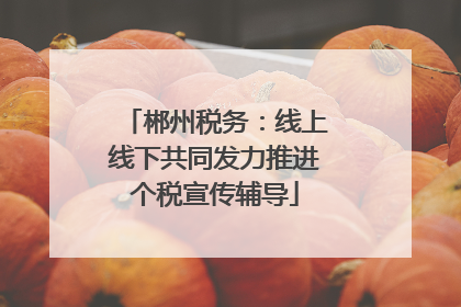 郴州税务：线上线下共同发力推进个税宣传辅导