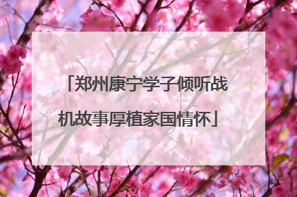 郑州康宁学子倾听战机故事厚植家国情怀