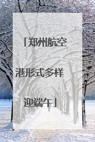 郑州航空港形式多样迎端午