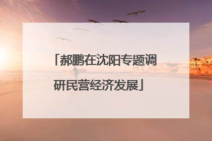 郝鹏在沈阳专题调研民营经济发展