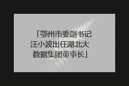 鄂州市委副书记汪小波出任湖北大数据集团董事长
