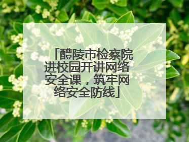 醴陵市检察院进校园开讲网络安全课，筑牢网络安全防线