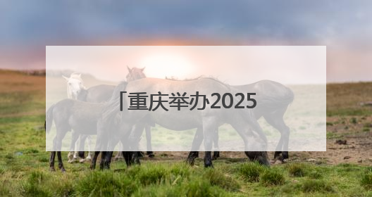 重庆举办2025年防空警报试鸣放暨国防动员（人民防空）宣传教育活动