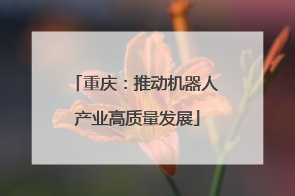 重庆：推动机器人产业高质量发展