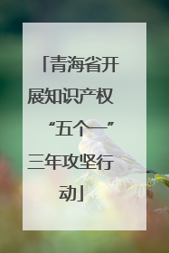 青海省开展知识产权“五个一”三年攻坚行动