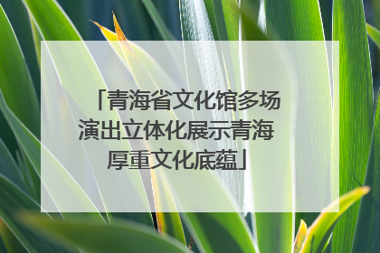 青海省文化馆多场演出立体化展示青海厚重文化底蕴