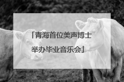 青海首位美声博士举办毕业音乐会