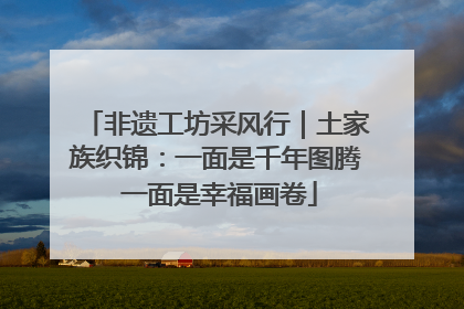 非遗工坊采风行｜土家族织锦：一面是千年图腾 一面是幸福画卷