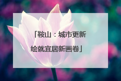 鞍山：城市更新绘就宜居新画卷