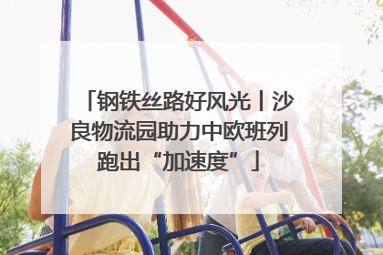 钢铁丝路好风光丨沙良物流园助力中欧班列跑出“加速度”