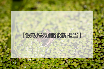 银政联动赋能新担当