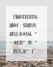 铜川宜君东湖村：党群共建让乡村从“一时美”变“持久美”