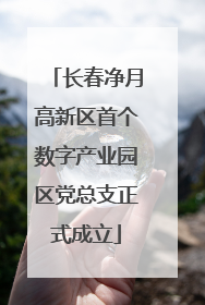 长春净月高新区首个数字产业园区党总支正式成立