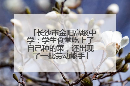 长沙市金阳高级中学：学生食堂吃上了自己种的菜，还出现了一批劳动能手