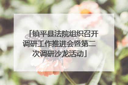 镇平县法院组织召开调研工作推进会暨第二次调研沙龙活动