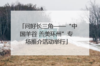 问好长三角——“中国羊谷 善美环州”专场推介活动举行