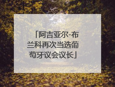 阿吉亚尔-布兰科再次当选葡萄牙议会议长