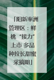 阳新率洲管理区：鲜桃“接力”上市 多品种拉长甜蜜采摘期