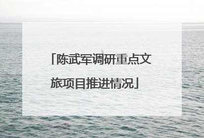 陈武军调研重点文旅项目推进情况