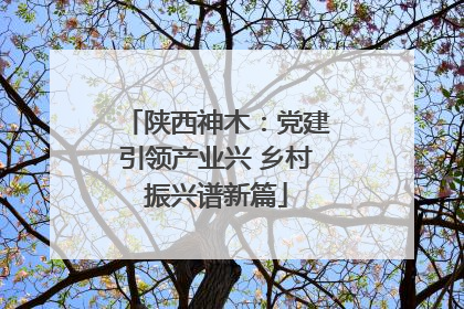 陕西神木：党建引领产业兴 乡村振兴谱新篇