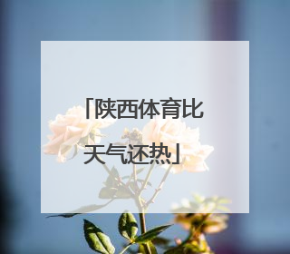 陕西体育比天气还热