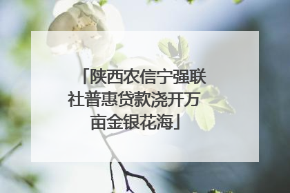 陕西农信宁强联社普惠贷款浇开万亩金银花海