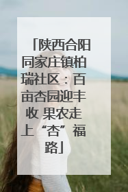 陕西合阳同家庄镇柏瑞社区：百亩杏园迎丰收 果农走上“杏”福路