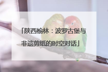 陕西榆林：波罗古堡与非遗剪纸的时空对话