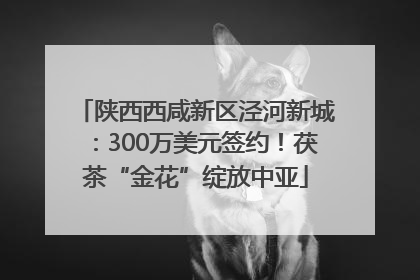 陕西西咸新区泾河新城：300万美元签约！茯茶“金花”绽放中亚