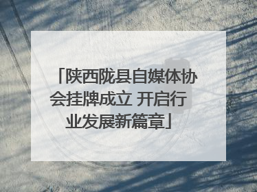 陕西陇县自媒体协会挂牌成立 开启行业发展新篇章