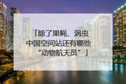 除了果蝇、涡虫 中国空间站还有哪些“动物航天员”