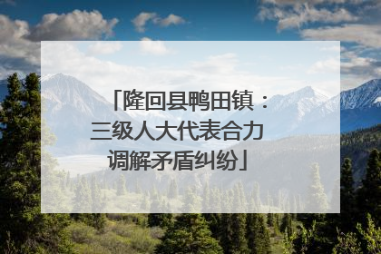 隆回县鸭田镇：三级人大代表合力调解矛盾纠纷