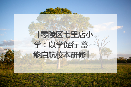 零陵区七里店小学：以学促行 蓄能启航校本研修