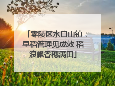 零陵区水口山镇：早稻管理见成效 稻浪飘香穗满田